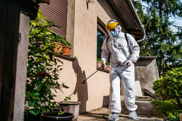 Best Bed Bug Extermination  in Cedar Park, TX